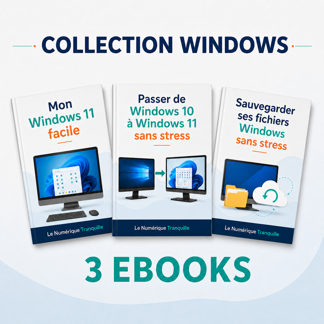 Collection Windows